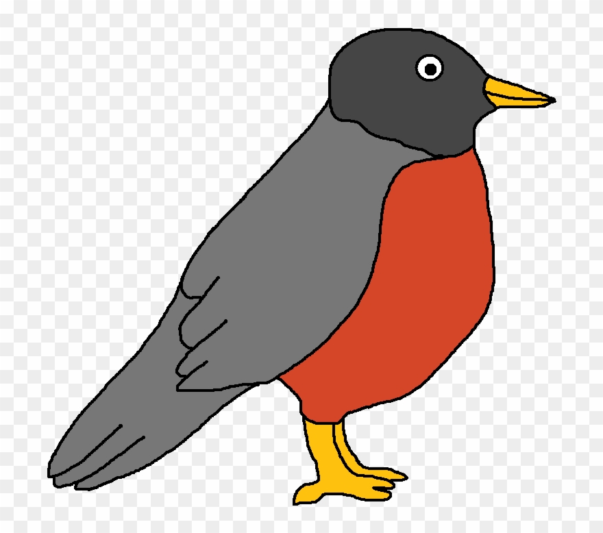 Robin Clip Art Graphics - Clipart Of A Robin - Png Download