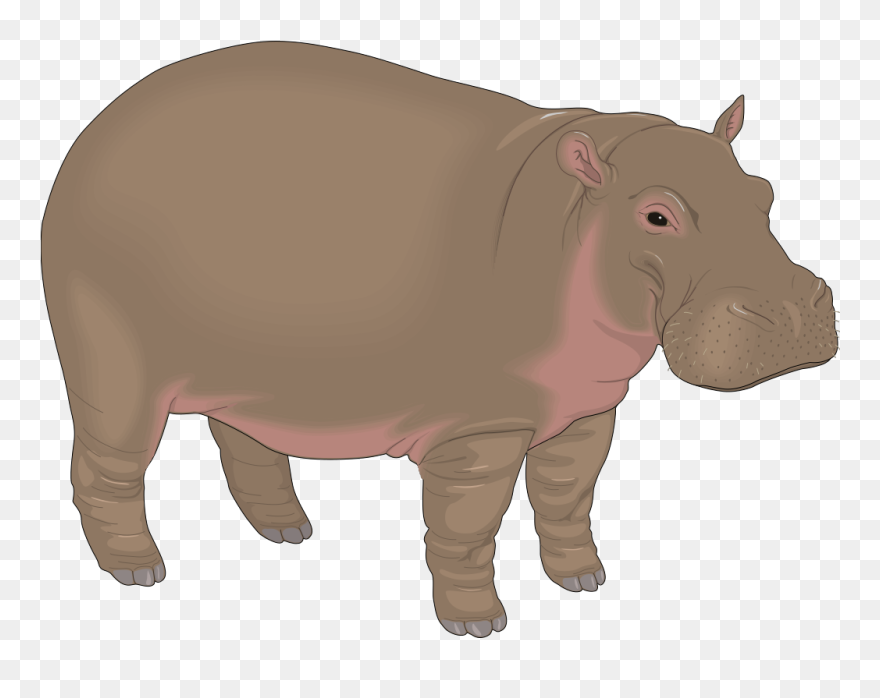 Night Sky Clipart - Hippo Clipart - Png Download