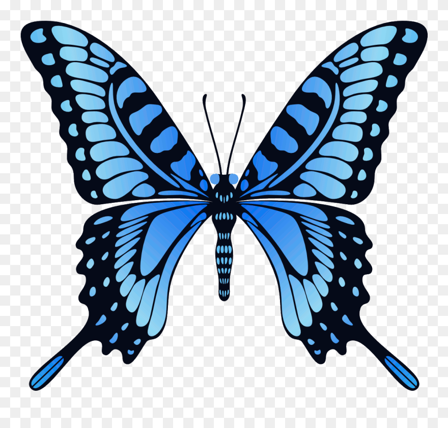 Clip Buckle Boat Cover - Flying Butterfly Animation Gif - Png Download