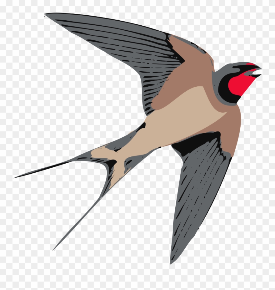 Free To Use Public Domain Birds Clip Art - Swallow Clipart - Png Download