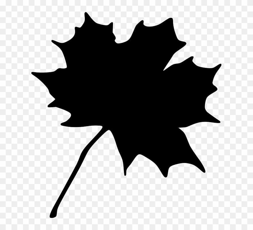 Canada's Maple Leaf Transparent Clipart