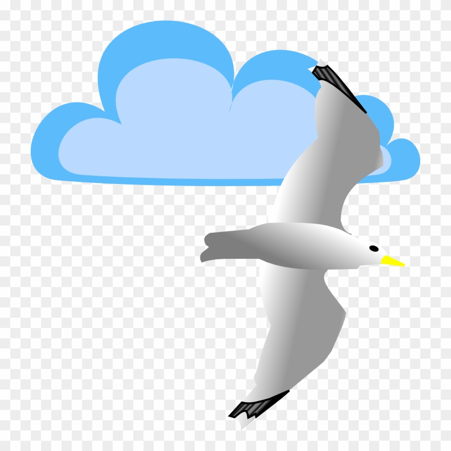 Seagull And Cloud Clip Art At Vector Clip Art - Möwe Clipart - Png Download