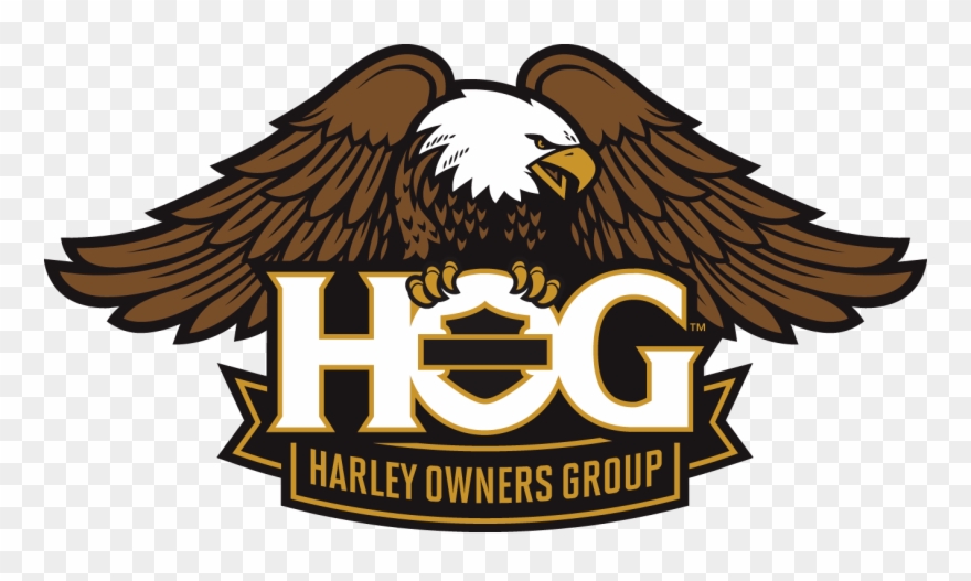 Harley Logo Outline - Hog Harley Clipart