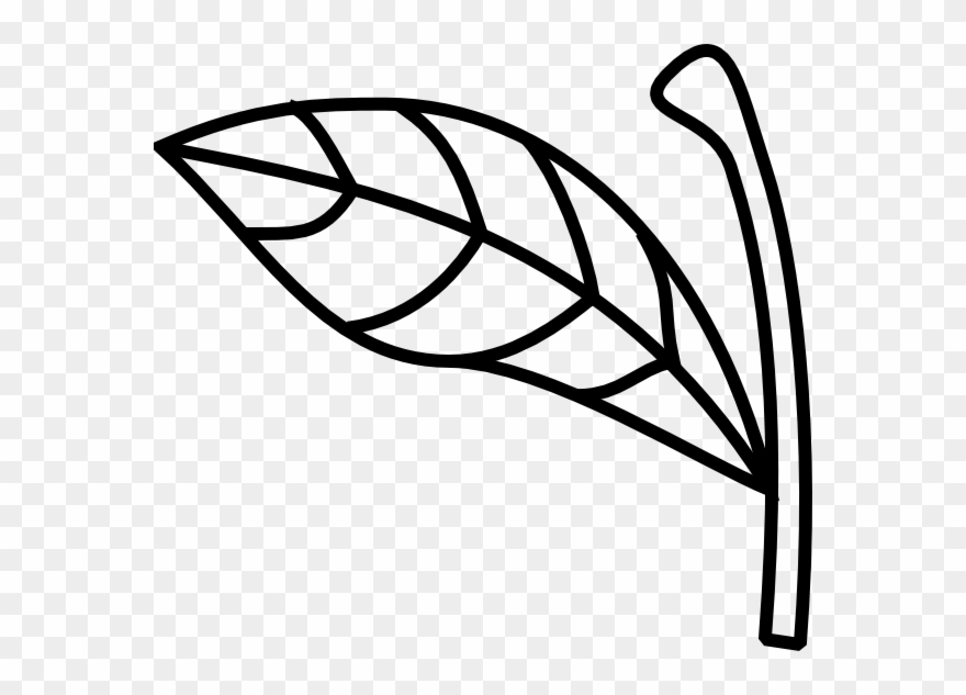 Apple Stem Leaf Clip Art - Apple Stem Clipart - Png Download
