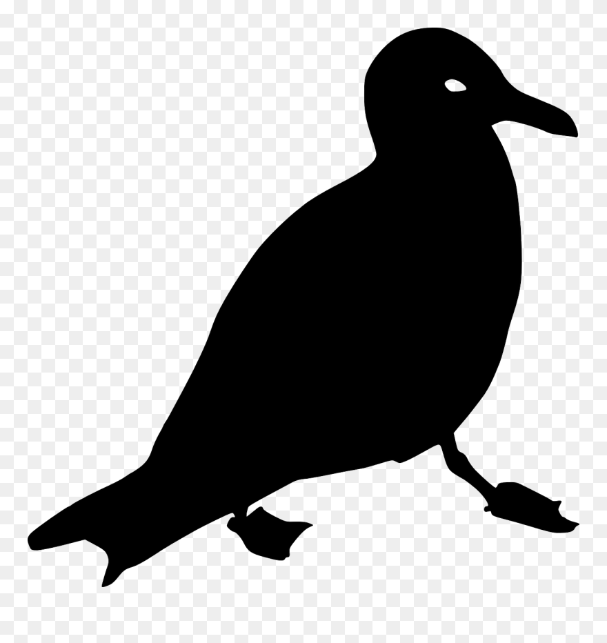 Problem Clip Art Download - Silhouette De Goéland Png Transparent Png