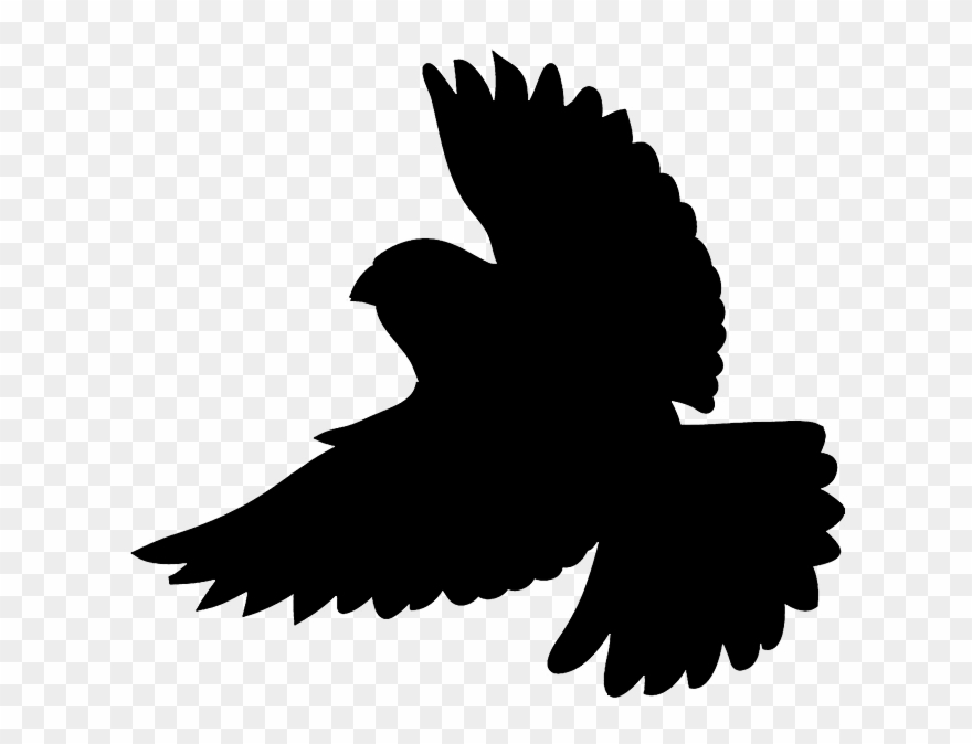 Bird Silhouettes - Flying Bird Silhouette Clip Art - Png Download