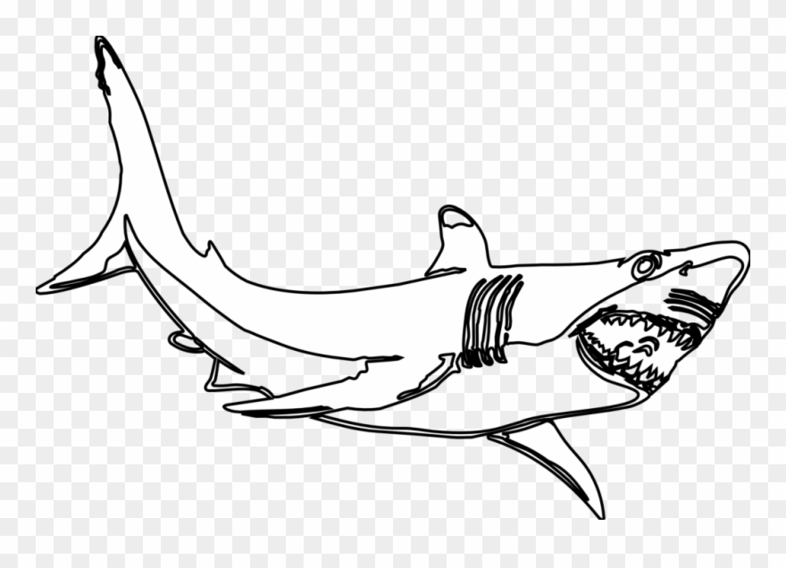 Hammerhead Shark Template Free Download Clip Art With - Great White Shark Clipart Black And White - Png Download