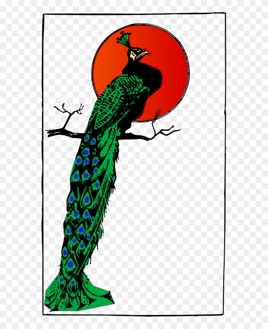 Angry Peacock Clip Art - Clip Art - Png Download