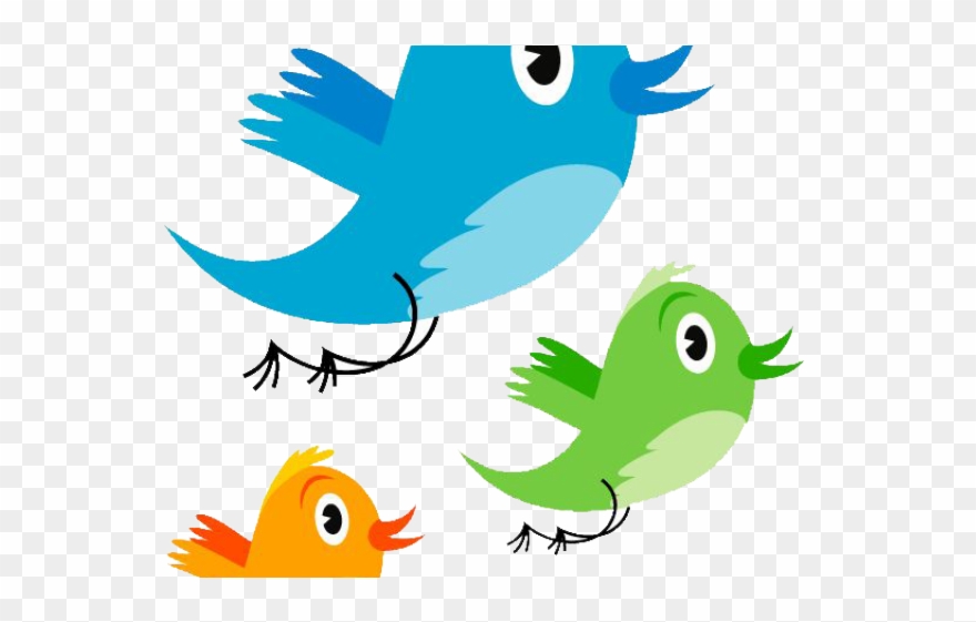 Parrot Clipart Transparent Background - Twitter Bird - Png Download