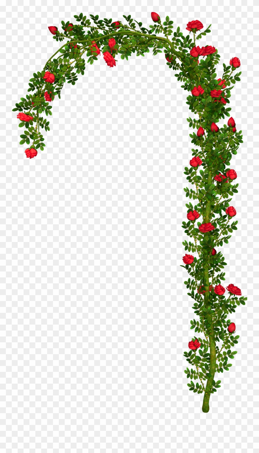 Rose Bush Clipart Clip Art Rose - Png Arch Transparent Png
