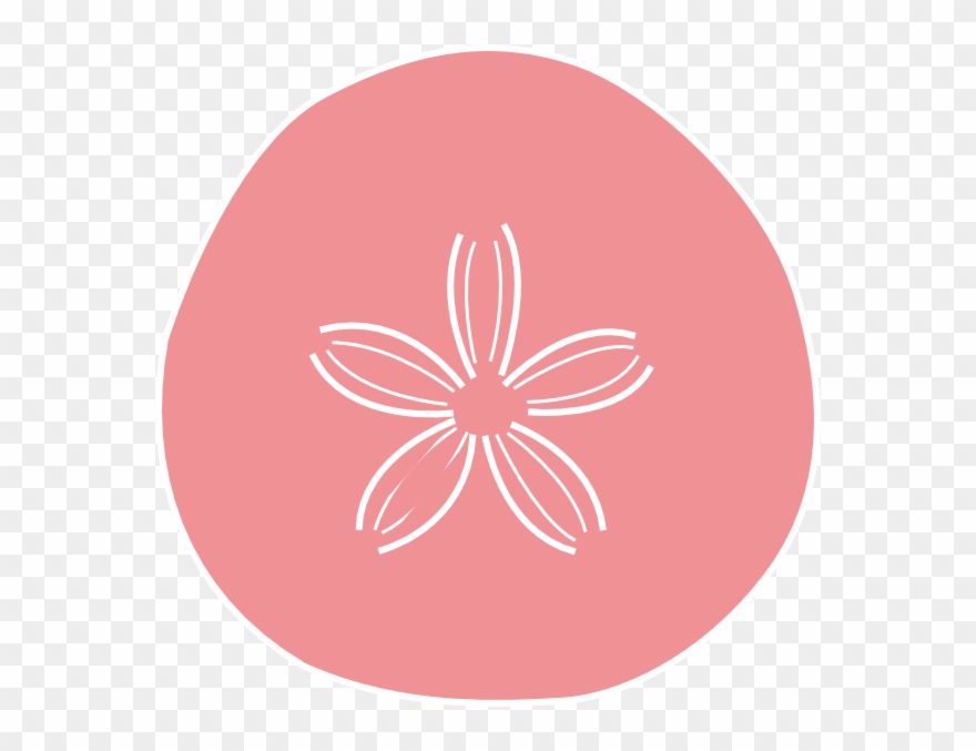 Sand Dollar Coral Clip Art At Vector Clip Art - Clip Art - Png Download