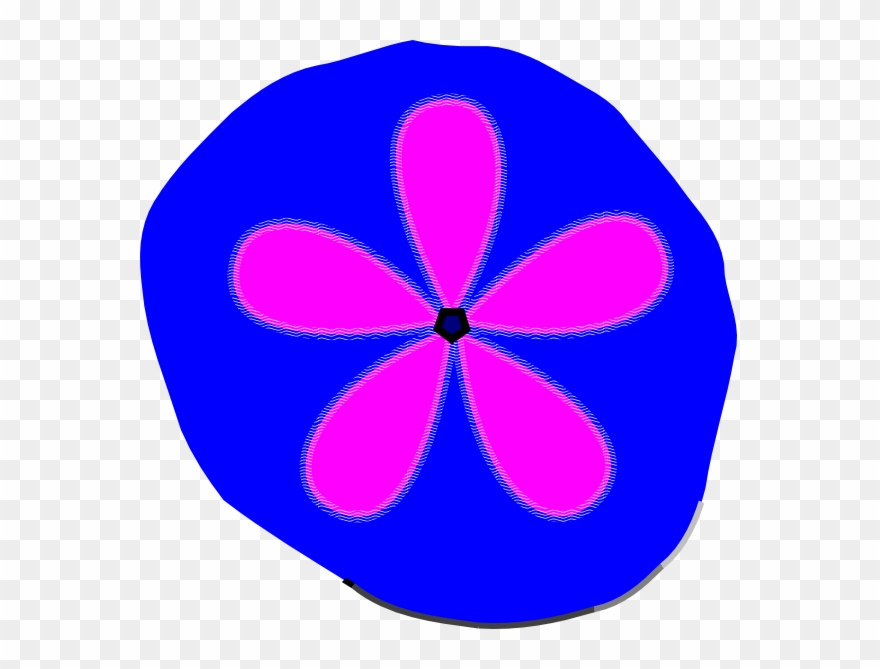 Sand Dollar Clip Art At Vector Clip Art - Clip Art - Png Download