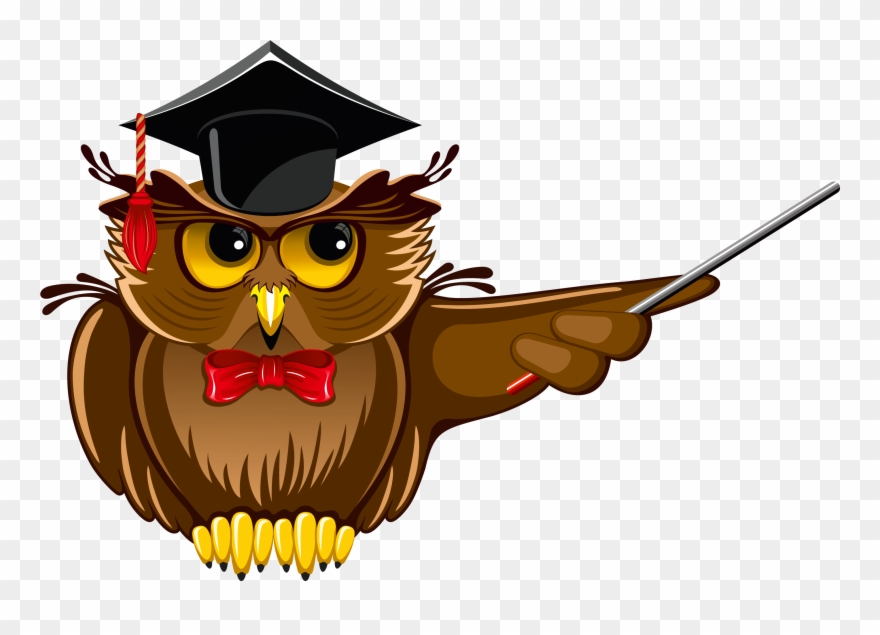 Picture Library Stock Owl Png Gallery Yopriceville - Enemy Of Ignorance: Facts, Trivia, & General Knowledge Clipart