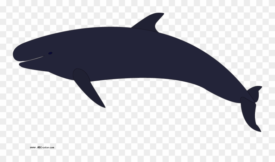Killer - Whales Clipart