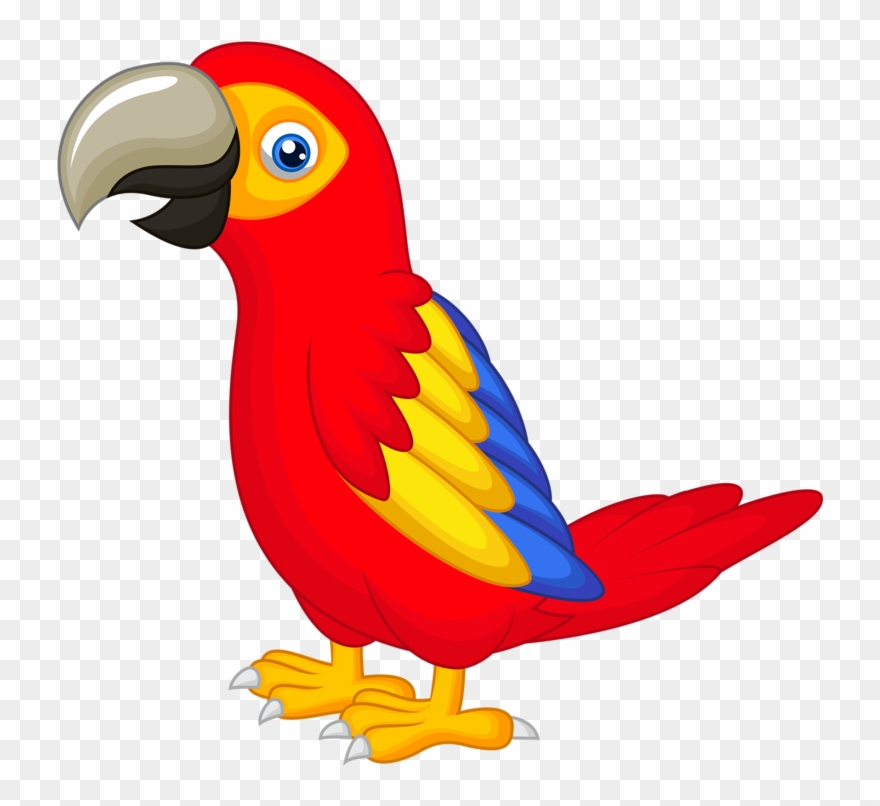 Drawing With Colour At Getdrawings Com Free - Parrot Clip Art Free - Png Download