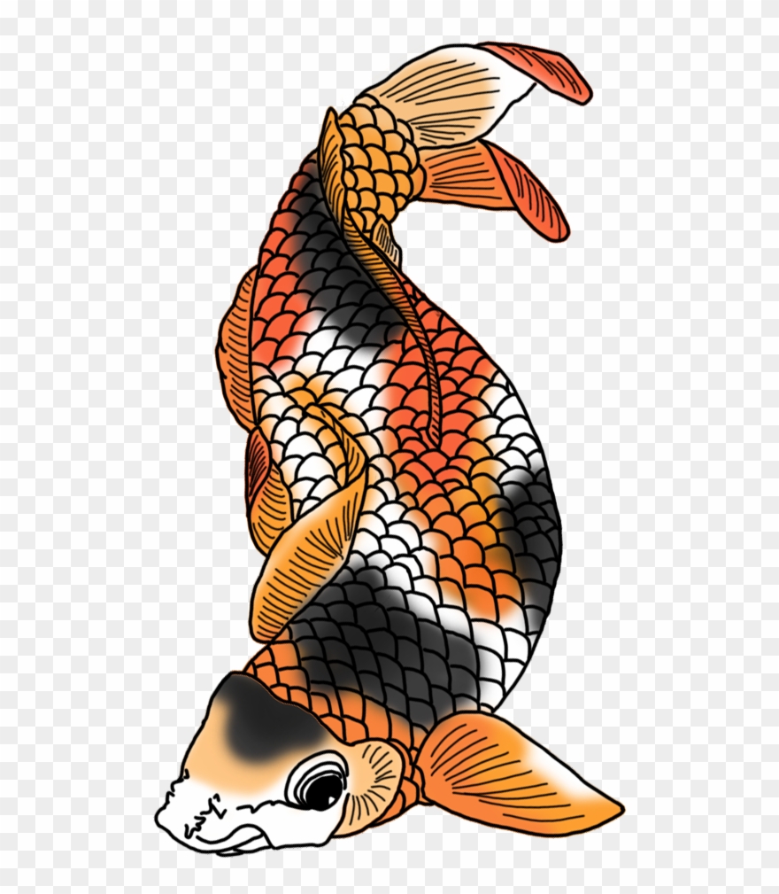 Drawing Japanese Colored - Koi Fish Png Clipart