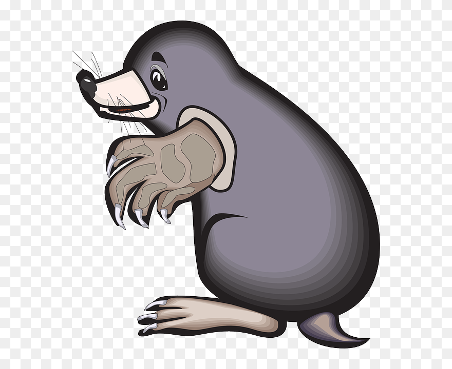 Mole - Cartoon Mole Clipart - Png Download