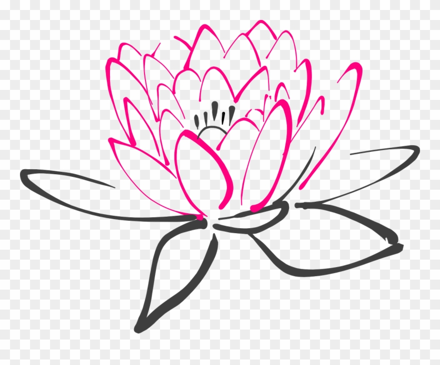 Graphics For Spa Clip Art Graphics - Flor De Lotus Desenho Png Transparent Png