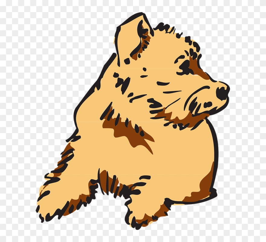 Curious Dog Clip Art - Dog Fur Clipart - Png Download