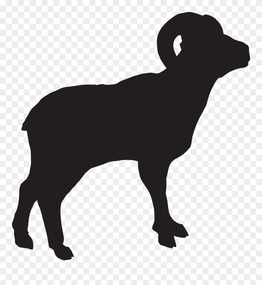 Amazing Sheep And Lamb Clipart