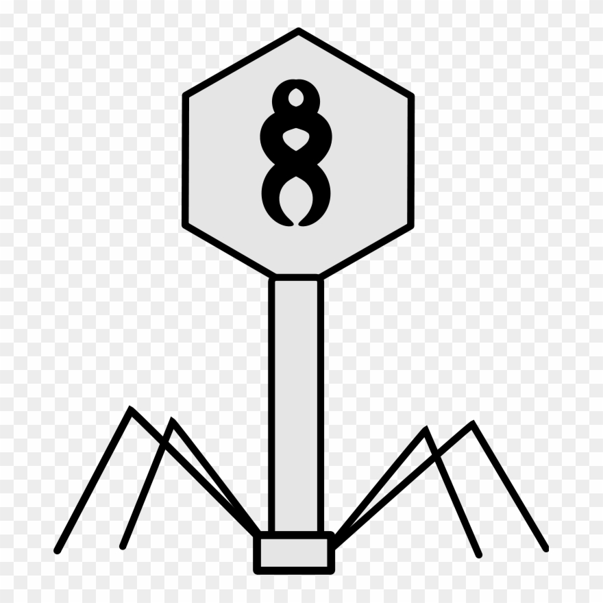 Mole Clip Art Download - Bacteriophage Clipart - Png Download