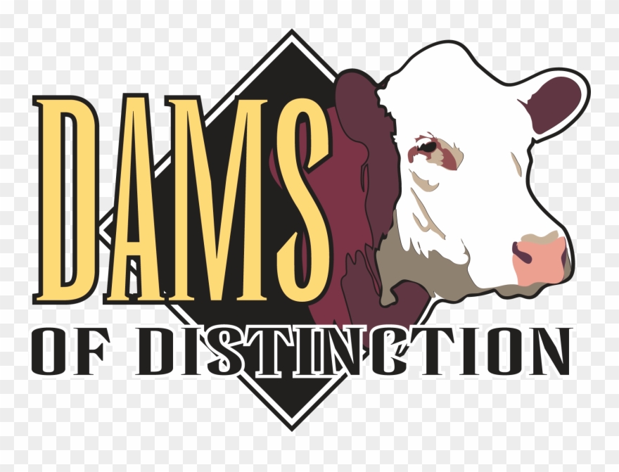 Clip Art - Hereford Head Silhouette - Png Download