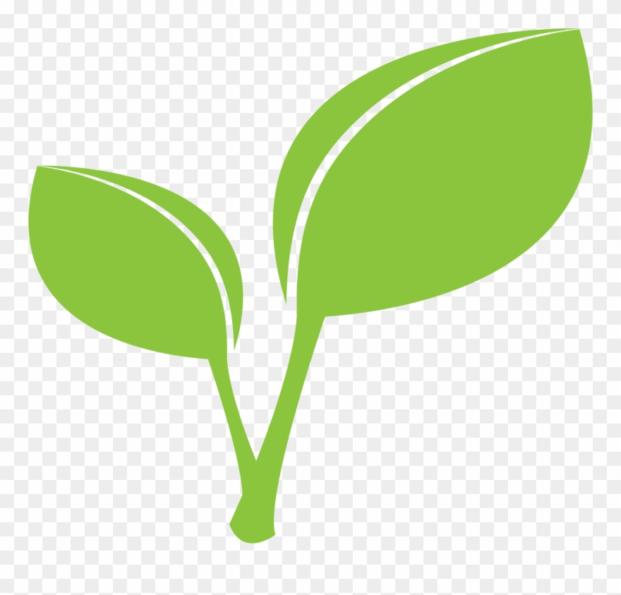 Clipart - Green Leaf Png Clipart Transparent Png