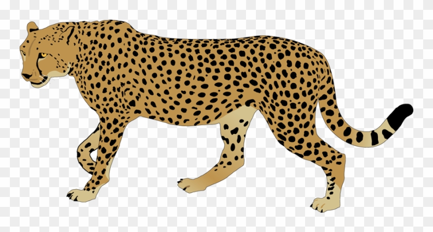 Svg Freeuse Library Cheetah Rainbow Free Collection - Cheetah Clipart - Png Download