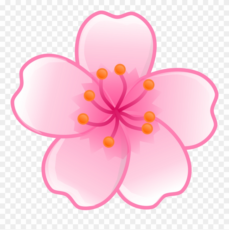Download Japan Clipart Japanese Flower Cherry Blossom Flower Clipart