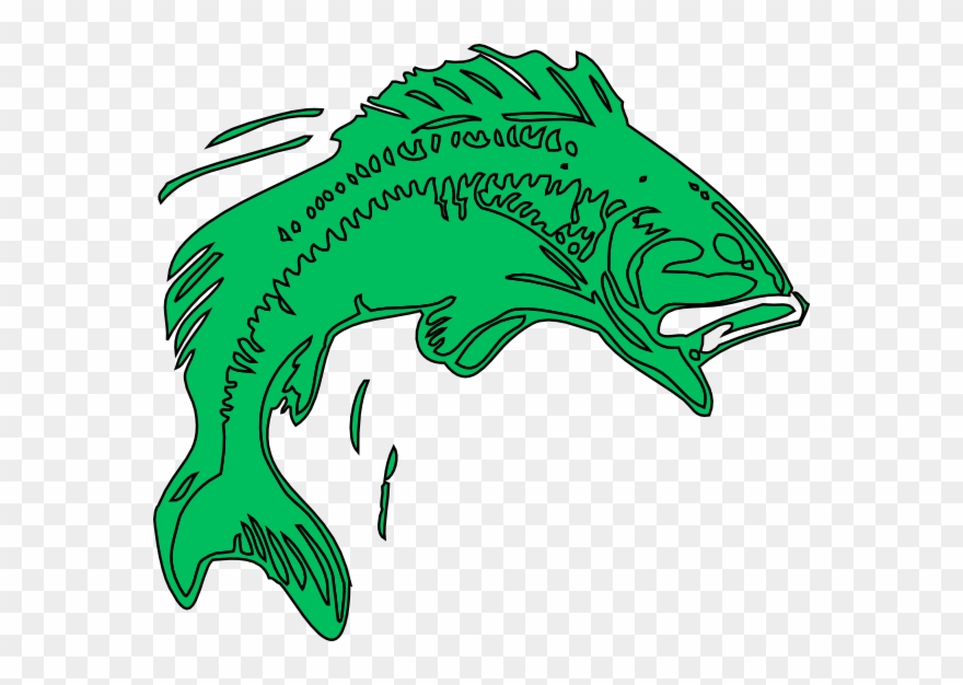 Bass Fish Green Clip Art At Vector Clip Art - Fish Jumping Clipart - Png Download