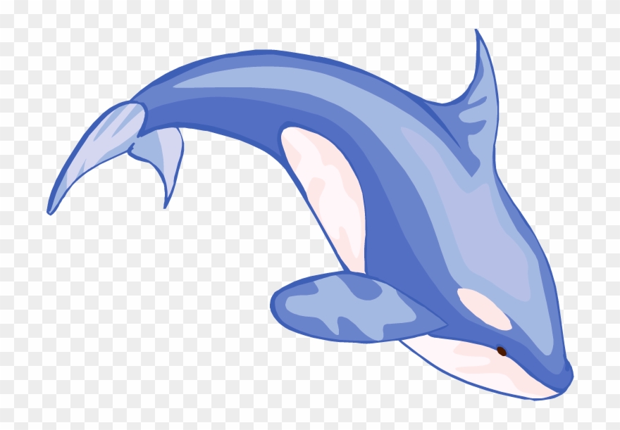 Whale Clipart And Illustration 2 Whale Clip Art Vector - Clip Art Picture Of Whale - Png Download