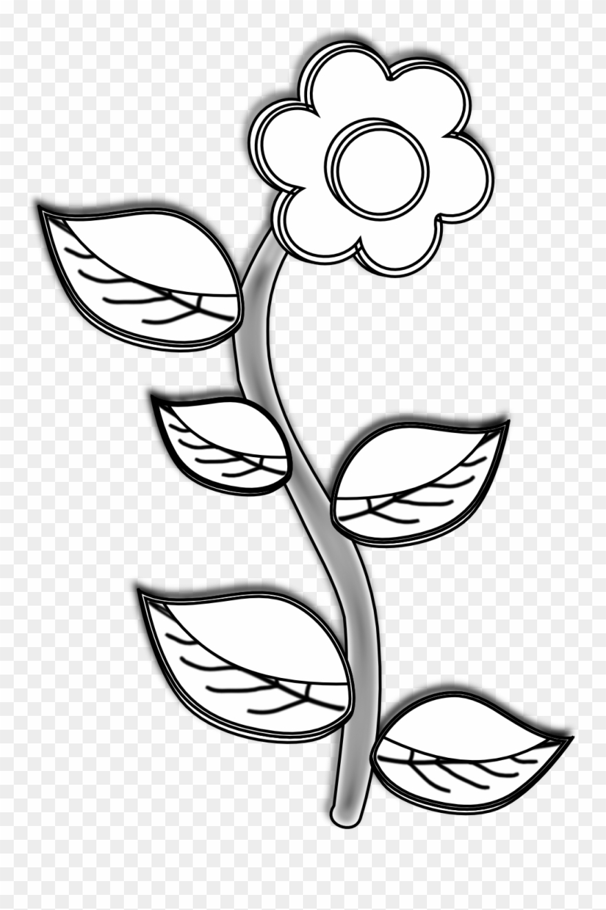 Simple Clipart Black And White - Plant Black And White Drawing - Png Download