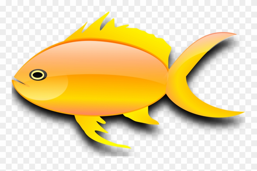 Clip Arts Related To - Gold Fish Clip Art - Png Download