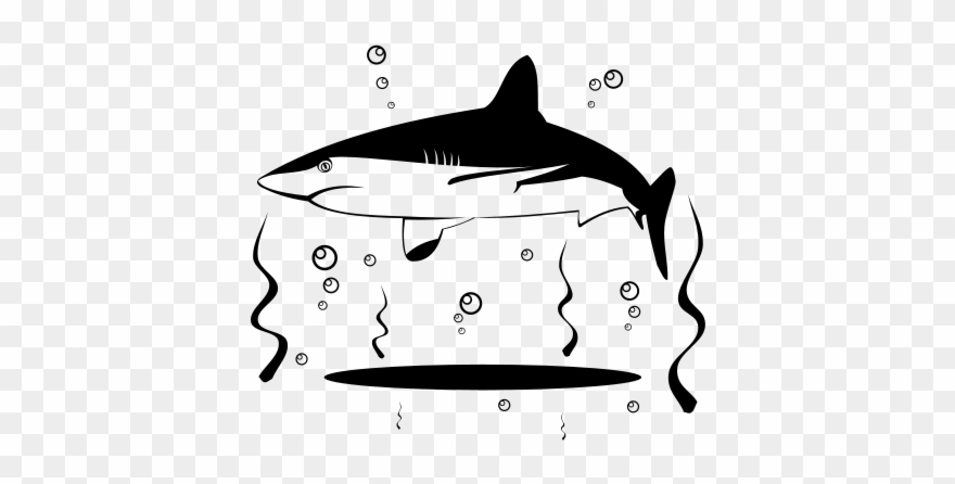 Shark Vector Clip Art - Duck Clipart Shark Black And White - Png Download