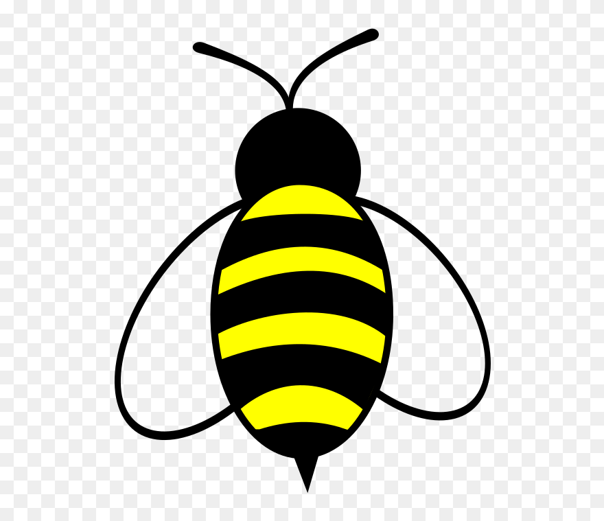 Insect Clipart Honey Bee - Bumble Bee Clip Art - Png Download
