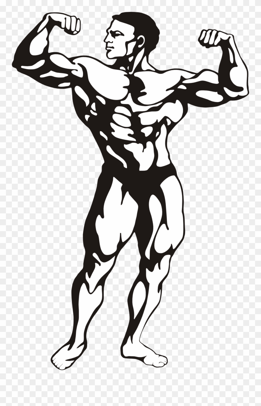 Vector Clip Art - Bodybuilder Clipart - Png Download