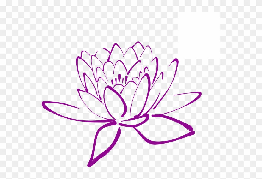 Magnolia Flower Clip Art - Lotus Flower Outline Png Transparent Png