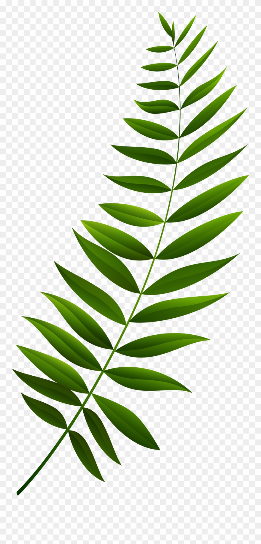 Green Branch Clipart - Png Download