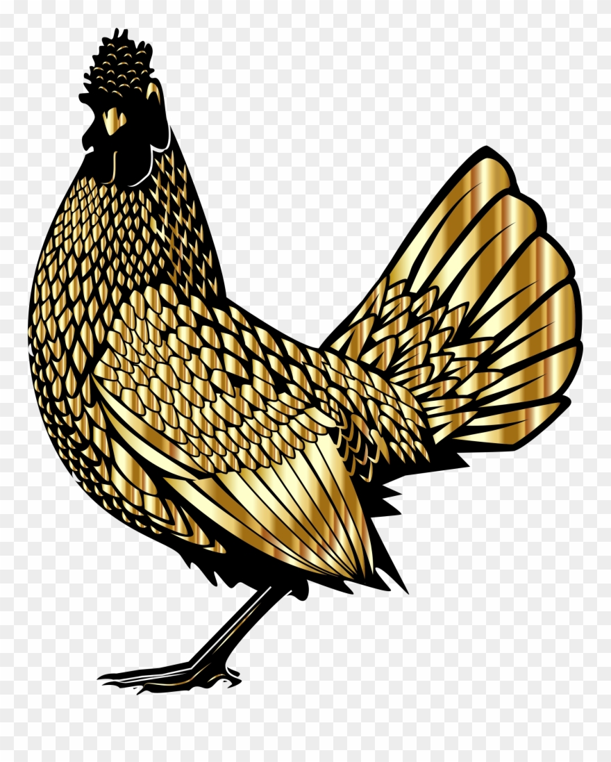 Chicken Rooster Poultry Farming Phasianidae - Chicken Clipart