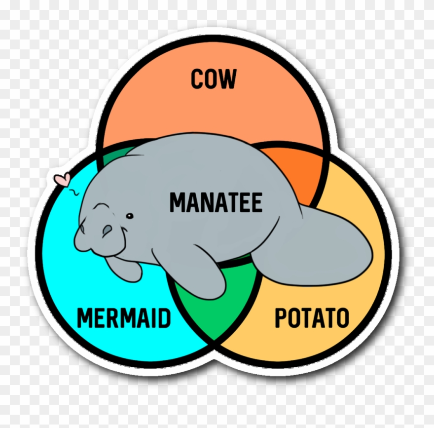 Hey - Manatee Cow Mermaid Potato Clipart