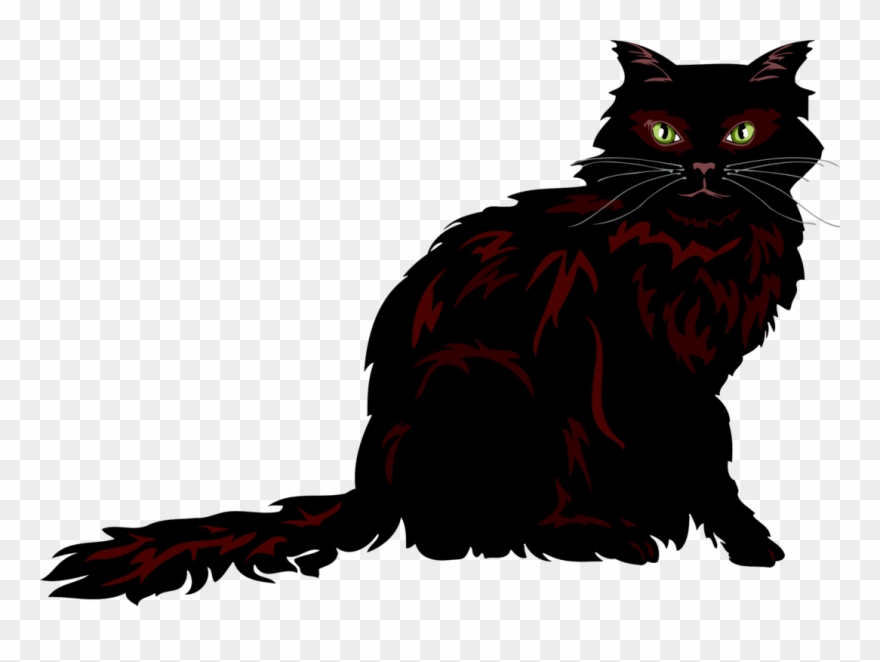 Persian Cat Asian Semi Longhair Kitten Cymric Domestic - Long Haired Cat Clip Art - Png Download