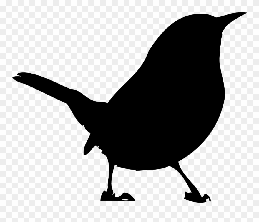 Bewick S Wren Overview All About Birds Cornell Lab - Wren Icon Clipart
