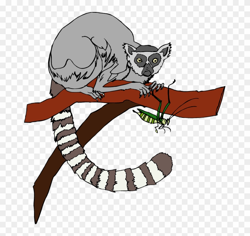 Free Lemur Clipart - Lemurs Clipart - Png Download