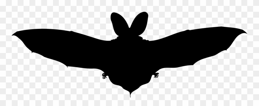 Brown Long Eared Bat Big Image Png - Brown Long Eared Bat Silhouette Clipart