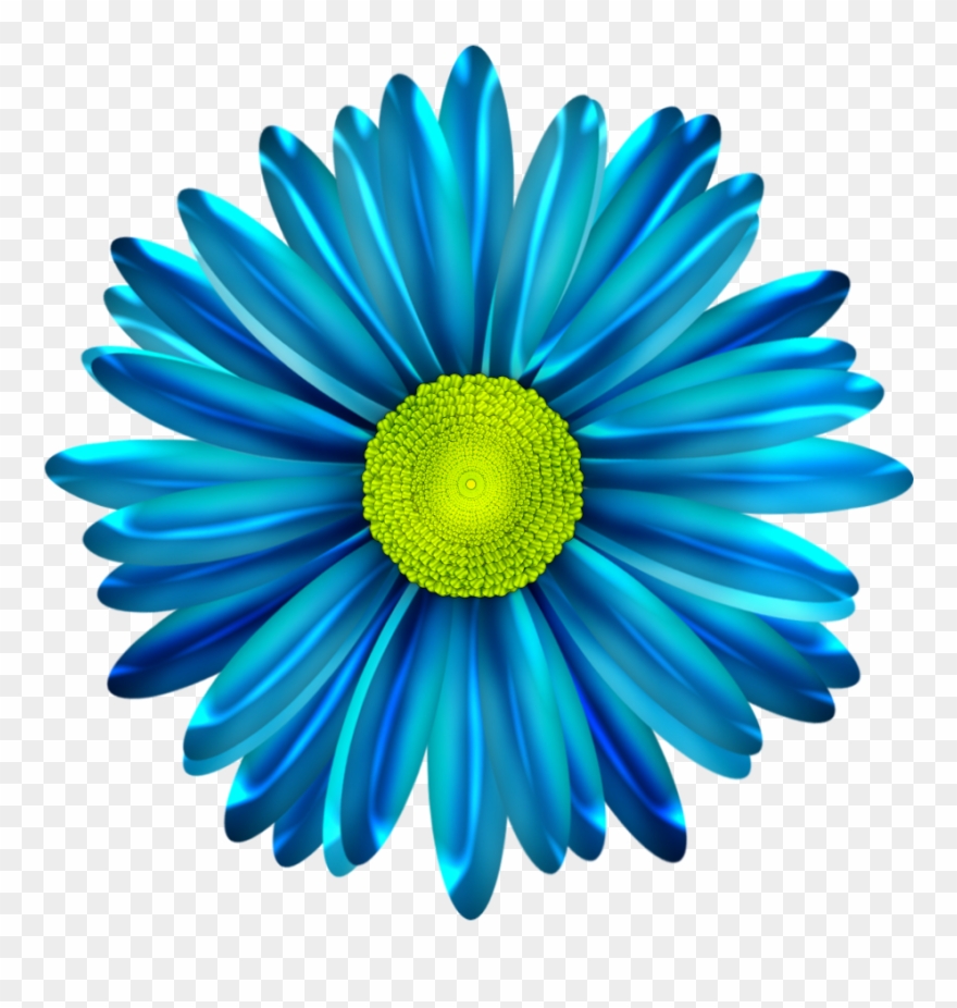 Blue Flower Clipart Blue Daisy - Blue Daisy Flower Png Transparent Png