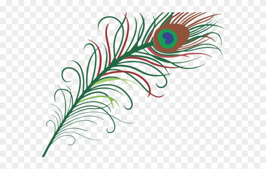 Simple Clipart Peacock - Peacock Feather Clipart Png Transparent Png