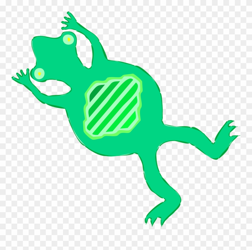 Rana Clip Art Download - Dead Frog Clip Art - Png Download