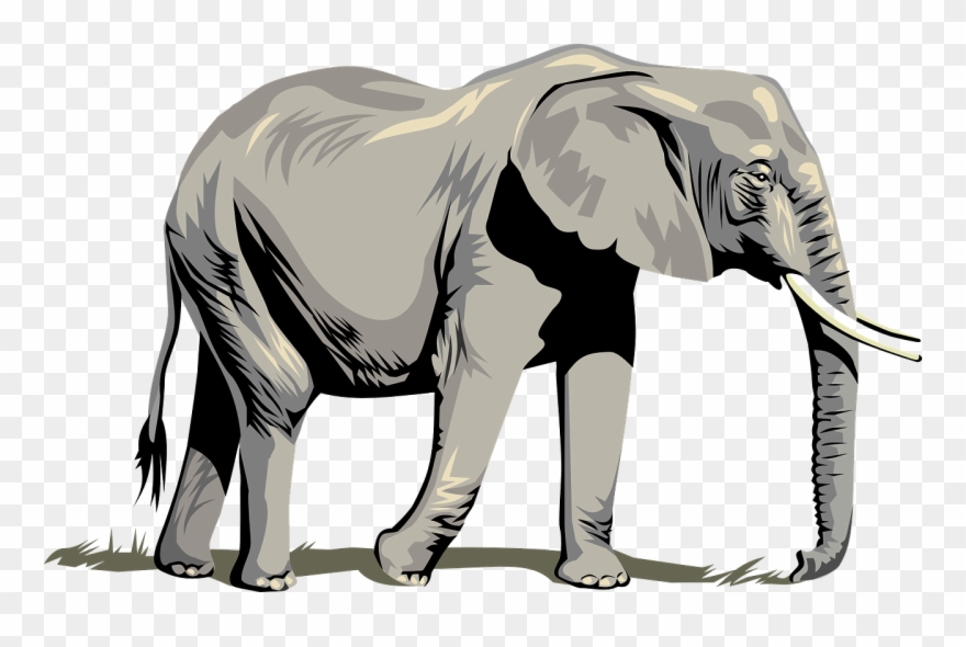 Stunning Idea Elephant Clipart Clip Art Outline Free - Clipart Elephant Png Transparent Png