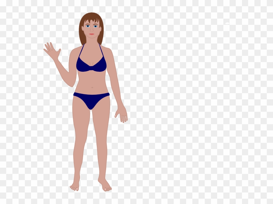 Female Human Body Clip Art - Women Body Vector Png Transparent Png