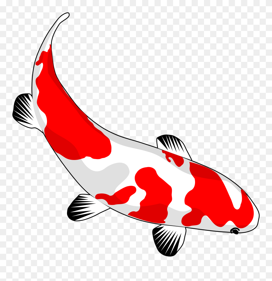 Asian - Coy Fish Shower Curtain Clipart